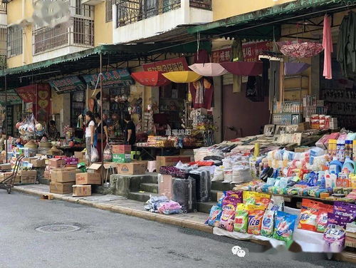 共建共享文明城市丨游仙區 背街小巷不文明 及時曝光及時整改還市民清爽空間